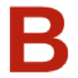BRUIJNSE chartered accountants & auditors