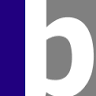 Brunswick Computers Ltd