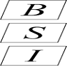 Brunswick Surveying, Inc.
