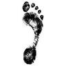 Brunton Podiatry