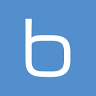 BSF IT-Solutions GmbH