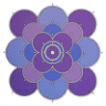 Brian Sylvester Wellness