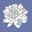 Bud and Bloom Florist, Boutique and Home