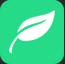 Budgetplant