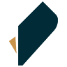 BuildLabs LLC