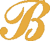 Burg Insurance