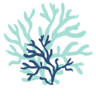 Hampstead Family Medicine