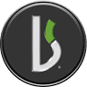 Burger’s Valence
