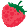 Burlington Berries