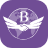 BUSIFIX WEB MARKETING GEEKS