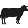 Original Butcher's Store