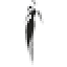 Butik N