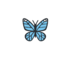 Butterfly World, Coombs