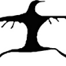 Der Bunte Vogel