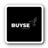 BUYSE PAINTINGS BVBA