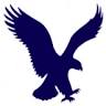 Buzzard Fascias & Fixings