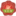 Bylinky SEN