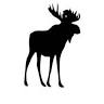 CENTURY 21 Moose Country Realtors