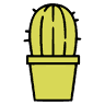 Cactus Fleuri Inc (Le)