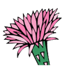Cactus Flower Mexican Restaurant & Cantina