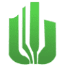 Cactus Game Design Inc
