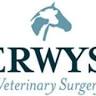 Caerwys Veterinary Surgery Rhyl Branch