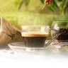 Café da Mata