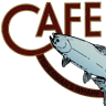 Café Fina