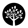 Le Caféier, atelier de torréfaction