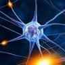 Cairns Neurophysiology