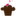 Cakewalk