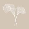Kauneushoitola Calla