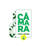 Câmara Municipal de Pedra Lavrada