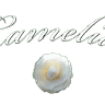 Camelia