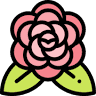 Camellias R Us