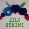 Camin de batrani Zile Senine