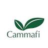 Cammafi