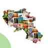 Campania Gourmet