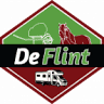 Camperplaats De Flint