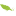 Natuurkampeerterrein De Klashorst