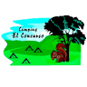 Camping Contest