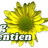Laurentien Campgrounds