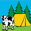 V.O.F. Boerderijcamping 't Slag | Veehouderij Hogenkamp