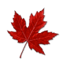 Canada Flowers - Toronto Florist