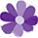 C.E.O. Floral Services