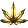 Canasity - Produse CBD