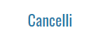 Noleggio Con Conducente - Cancelli CarServices