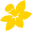 Cancer Council Shop