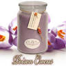 Candle Crest Soy Candles