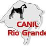Canil Rio Grande von Voigt & Filhos | Canil Boxer RS